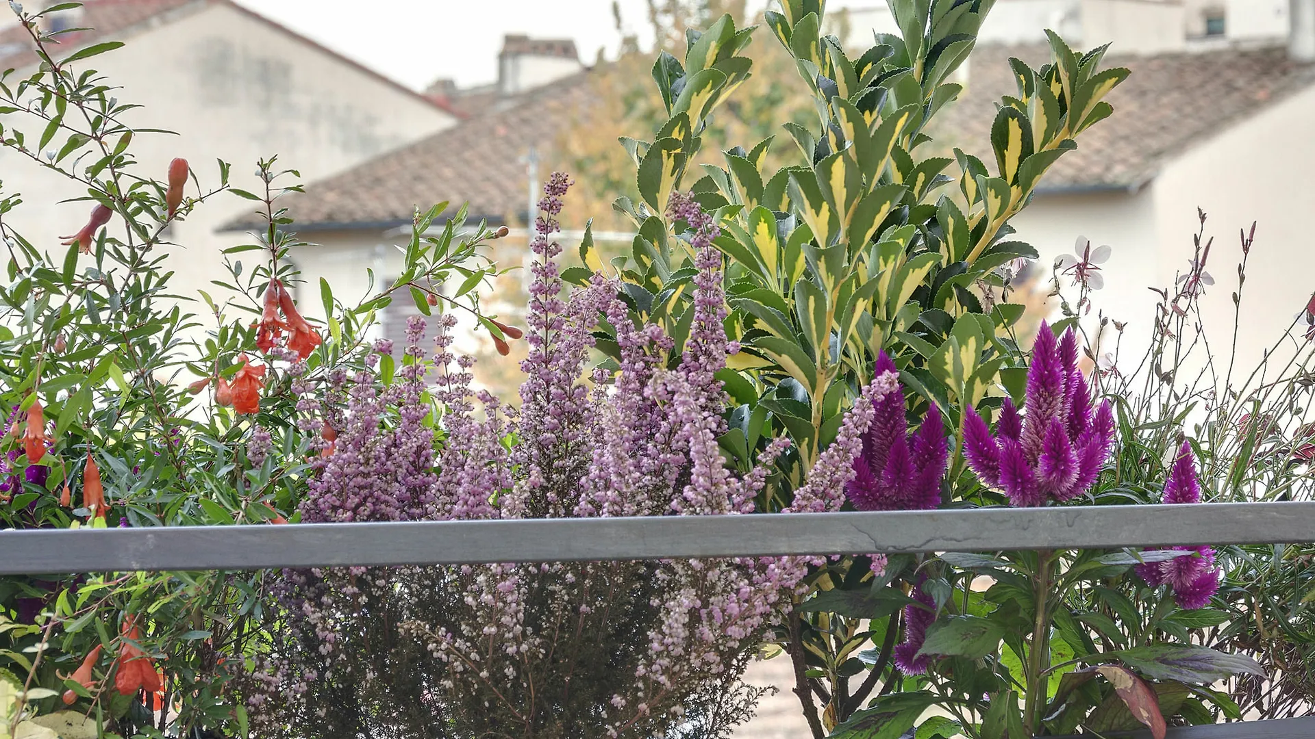 Dolce Vita Suites Firenze Bed & Breakfast
